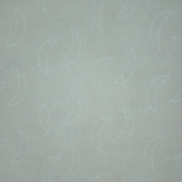SECURITY PAPER LUNE Standard