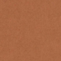 WILD CLAY