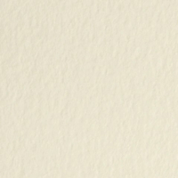 WILD WHITE