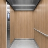 3M Di-Noc Wood pentru decor interior