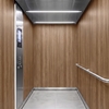 3M Di-Noc Wood pentru decor interior