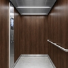 3M Di-Noc Wood pentru decor interior