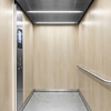 3M Di-Noc Wood pentru decor interior