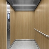 3M Di-Noc Wood pentru decor interior