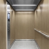 3M Di-Noc Wood pentru decor interior