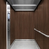 3M Di-Noc Wood pentru decor interior