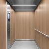 3M Di-Noc Wood pentru decor interior
