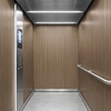 3M Di-Noc Wood pentru decor interior