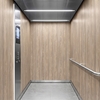3M Di-Noc Wood pentru decor interior
