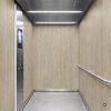 3M Di-Noc Wood pentru decor interior