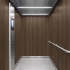 3M Di-Noc Wood pentru decor interior