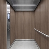 3M Di-Noc Wood pentru decor interior