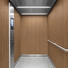 3M Di-Noc Wood pentru decor interior