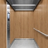 3M Di-Noc Wood pentru decor interior