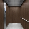 3M Di-Noc Wood pentru decor interior