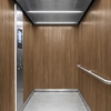 3M Di-Noc Wood pentru decor interior