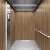 3M Di-Noc Wood pentru decor interior