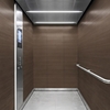 3M Di-Noc Wood pentru decor interior