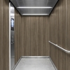 3M Di-Noc Wood pentru decor interior