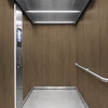 3M Di-Noc Wood pentru decor interior