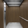 3M Di-Noc Wood pentru decor interior