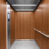 3M Di-Noc Wood pentru decor interior
