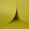Keaykolour, Kiwi, rough, 300g/m2, 700mm x 1000mm, B1, LG, Fibra virgina, 100 coli/top, FSC Mix Credit