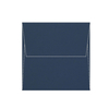 Olin Colours Plicuri