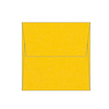 Olin Colours Plicuri