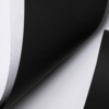 ASTROPRINT papers