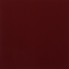 Coala Interior Film Soft Touch
