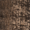 Coala Interior Film Wood