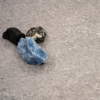 Coala Interior Film Stone