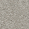 Coala Interior Film Stone