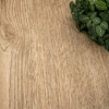 Coala Interior Film Wood