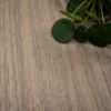 Coala Interior Film Wood