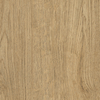 Coala Interior Film Wood