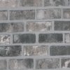 Coala Interior Film Stone