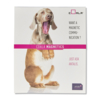 Coala Magnetics - Base Adhesive