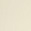 WILD WHITE